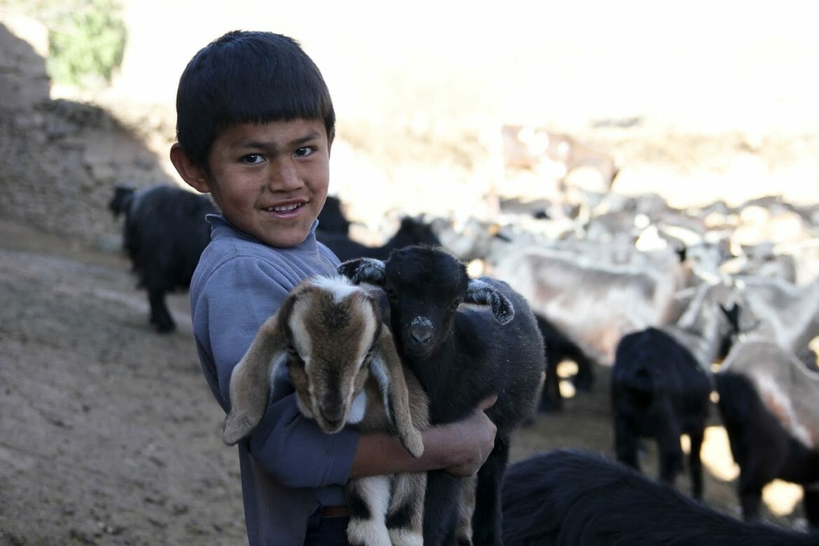 Jeune garçon de Caltapi en Bolivie